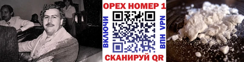 Cocaine FishScale  Купить где  Богородицк 